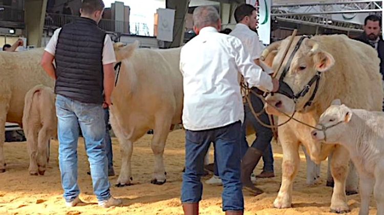 L’AUTRE SALON AGRICOLE - 80.000 personnes attendues à Tarbes pour une grande fête